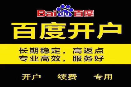 百度竞价推广托管案例分享：如何快速占领市场